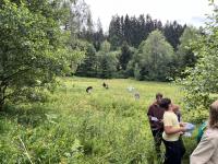 IMG_7292 Large.jpeg